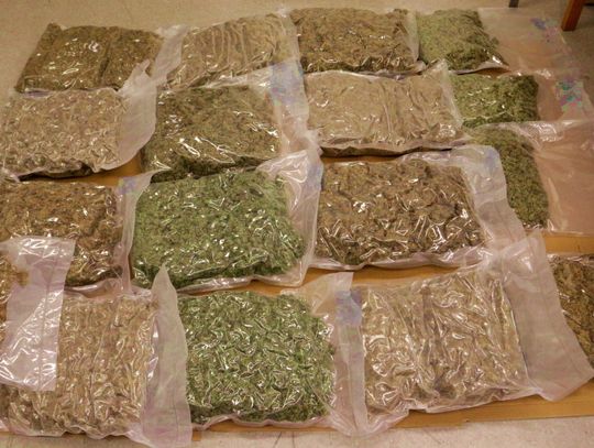 INDIE: Policjanci przejęli 160 kg marihuany. Zostawili kilogram, resztę sprzedali
