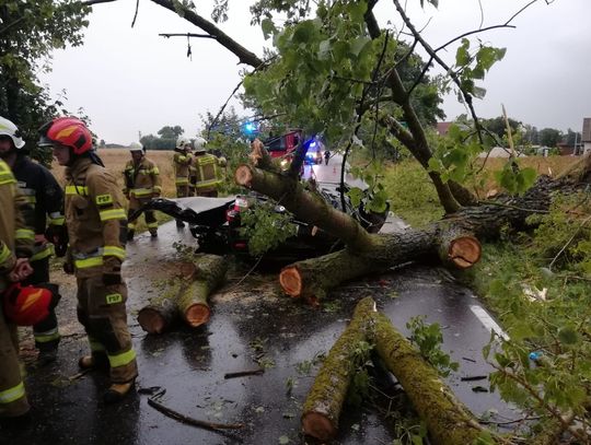 Jechali w czasie burzy, na auto spadł konar drzewa. Zginął 47-letni pasażer, trzy osoby zostały ranne