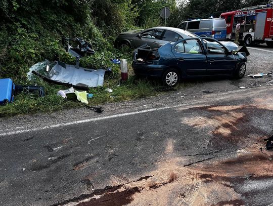 Jedna osoba zginęła, 10 zostało rannych w wypadku z udziałem trzech samochodów osobowych [ZDJĘCIA]