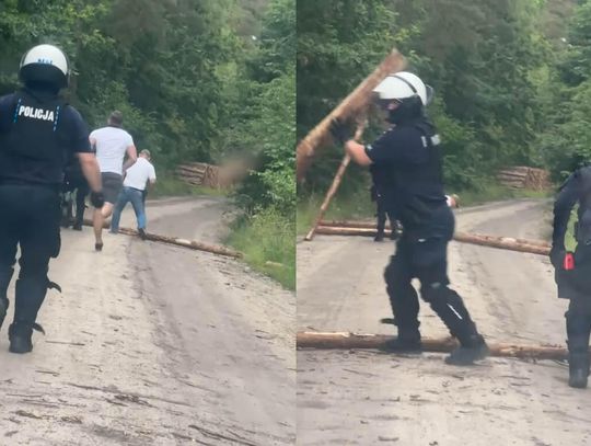 Kibole rozrzucili kłody na drodze, aby zablokować przejazd policji. Szykowali się do ataku na "wrogą" ekipę