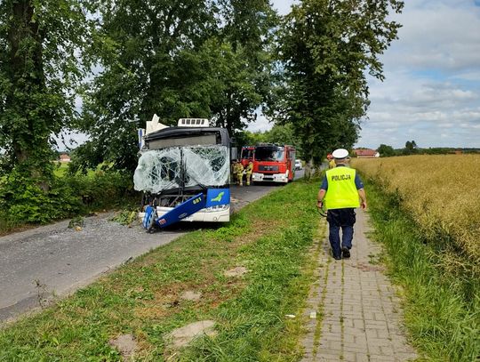 Kierowca autobusu zjechał na pobocze i czołowo uderzył w drzewo. Pięcioro pasażerów zostało rannych