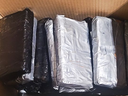 Kierowca busa przemycał w skrytkach 60 kg haszyszu. Wpadł tuż przy granicy z Litwą