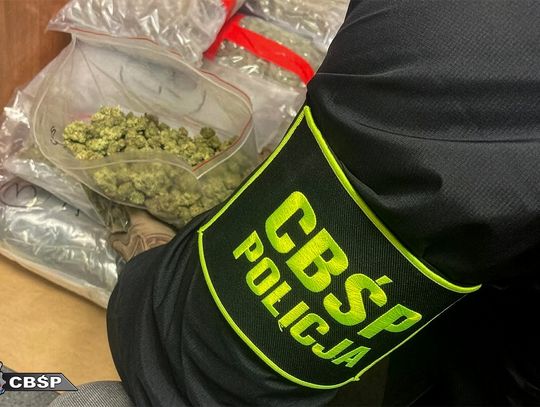 Kierowca ciężarówki przemycał marihuanę w szpuli kabla. Służby przejęły 36 kilogramów narkotyku