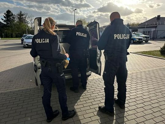 Kierowca i pasażer mieli wyroki za narkotyki. Wpadli, bo nie przepuścili pieszego na pasach
