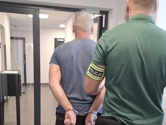 Kierowca mitsubishi celowo wjechał w stado dzików. Grozi mu kara do 3 lat pozbawienia wolności