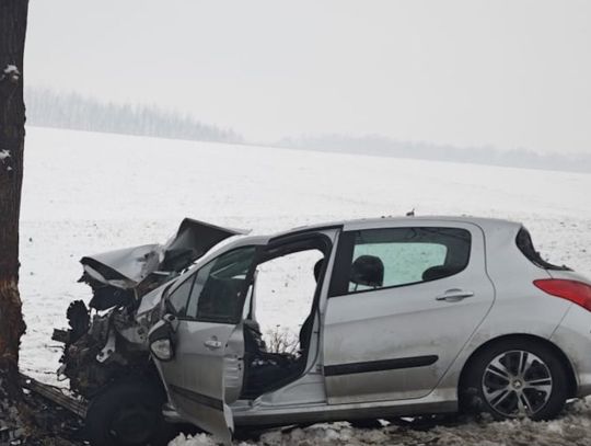 Kierowca peugeota zjechał z drogi i uderzył w drzewo. 41-latek nie przeżył wypadku
