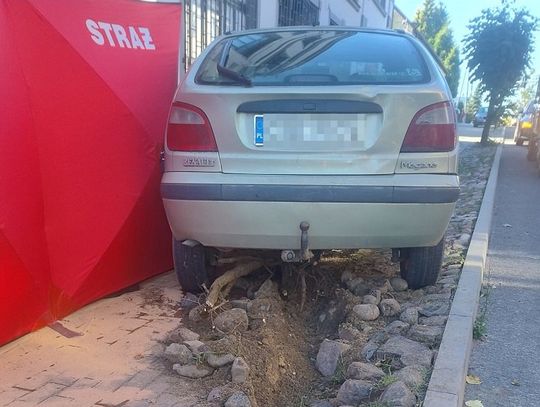 Kierowca renault zjechał z drogi i uderzył w drzewo. Mimo reanimacji nie udało się go uratować