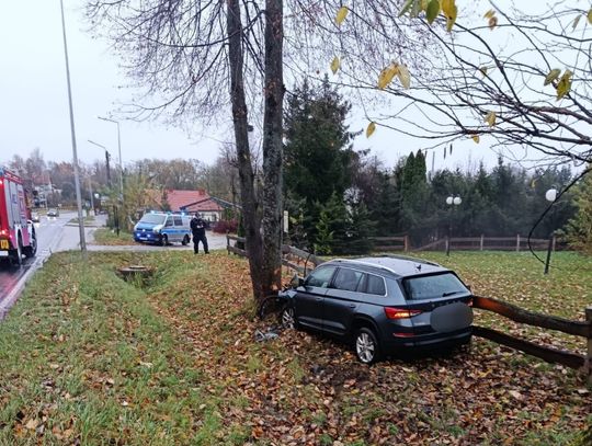 Kierowca skody chciał ominąć łabędzie, które wyszły na drogę. Auto rozbiło się na drzewie