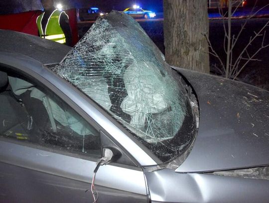 Kierowca z dwoma dożywotnimi zakazami wjechał audi w drzewo. 37-latek zginął na miejscu [FOTO]