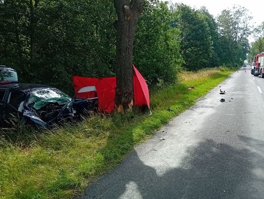 Kierująca volkswagenem na prostej drodze wjechała w drzewo. Kobieta zginęła na miejscu [ZDJĘCIA]