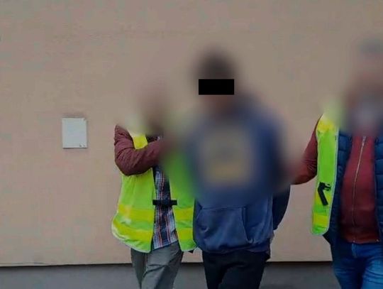 Kłusownik zastawił w lesie wnyki, w które wpadły trzy psy. Jeden z nich nie przeżył