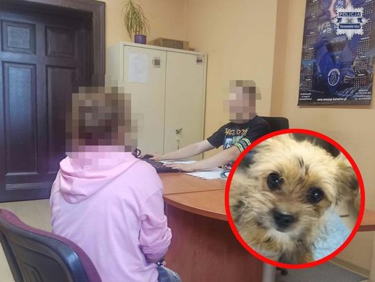 Kobieta ukradła psa. Miała go tylko na chwilę przypilnować