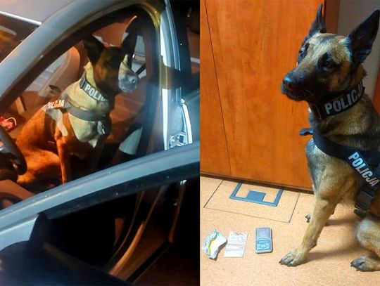 Koledzy wybrali sobie kiepską miejscówkę. W nocy siedzieli z dragami w aucie na pustym parkingu przed marketem