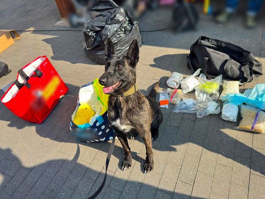 Kolejne uderzenie CBŚP w gang narkotykowy. Towar za ponad milion złotych ukryty w tajnym magazynie