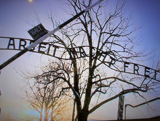 Kolumbijczyk hajlował na terenie muzeum w Auschwitz. Odpowie za propagowanie nazizmu