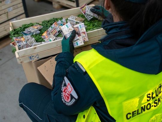 Kontrabanda ukryta w... skrzyniach z pietruszką. Udaremniony przemyt białoruskich papierosów
