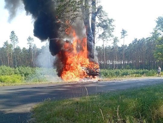 Koszmar na drodze. Samochód uderzył w drzewo i spłonął, kierowca nie miał szans na przeżycie