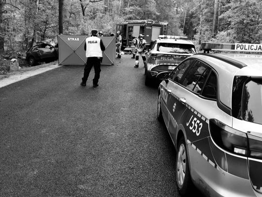 Koszmarny wypadek na Opolszczyźnie. Młody kierowca audi zginął po wjechaniu w drzewo