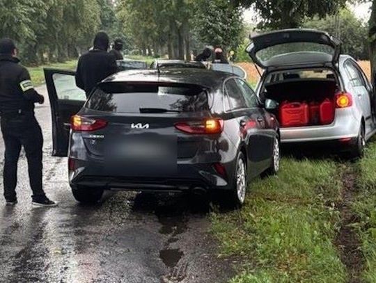 Kradli auta na „walizkę”. Policjanci weszli do dziupli i zatrzymali czterech mężczyzn