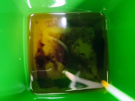 Kradli zużyty olej spożywczy spod lokali gastronomicznych. Tłuszcz trafiał do ponownej sprzedaży