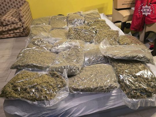 Laboratorium narkotykowe w pustostanie. Sąsiadów zaniepokoił intensywny zapach i wezwali policję