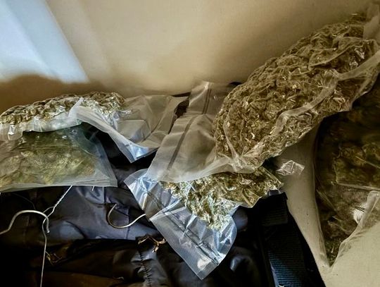 Łączy bycie policjantką i kuratorem społecznym. Podczas wizyty u podopiecznego znalazła 6 kg marihuany. FOTO