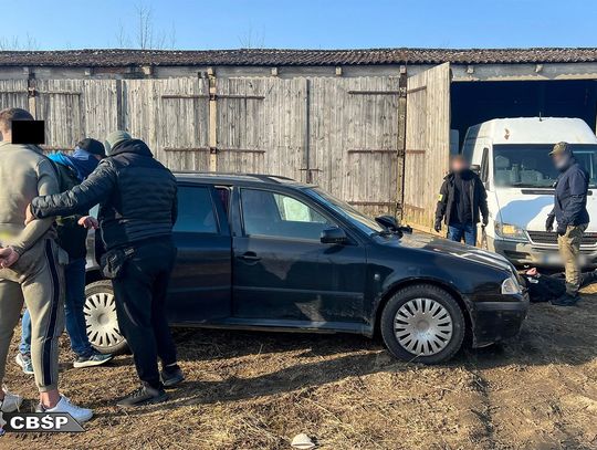 Likwidacja nielegalnej krajalni tytoniu. Służby przejęły towar za pół miliona złotych