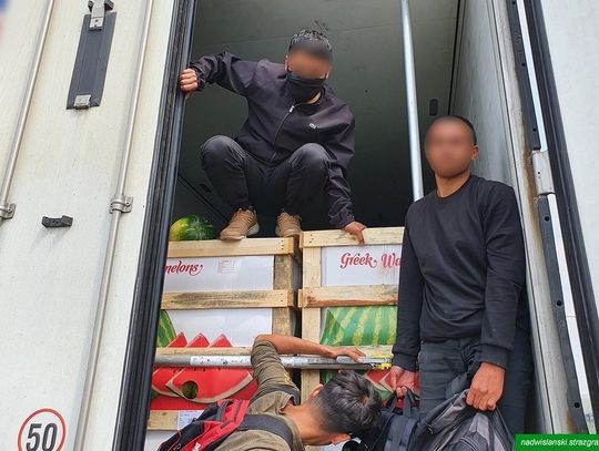 ŁÓDŹ: nielegalni imigranci w transporcie owoców. Podczas rozładunku rozbiegli się