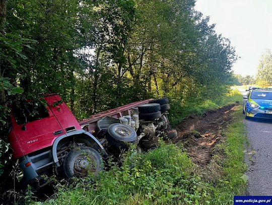 Łoś wbiegł prosto przed ciężarówkę. Kierowca ratował się ucieczką do rowu