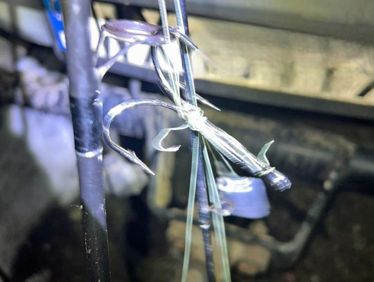 Łowili zakazaną metodą. Ryby były pokaleczone. Mężczyźni usłyszeli zarzuty i stracili sprzęt