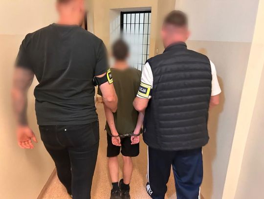 LSD, marihuana i grzyby halucynogenne w mieszkaniu. 19 i 20-latek zatrzymani przez policję