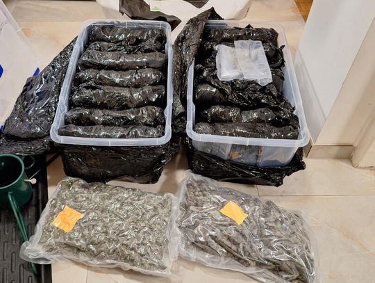 Magazyn narkotyków w piwnicy. Policja przejęła towar wart ponad milion złotych [WIDEO]