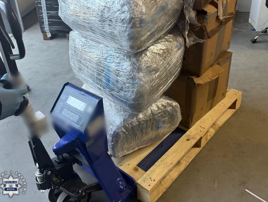 Magazynier zamiast części znalazł 64 kg marihuany. Przemytnicy wysłali narkotyki pod zły adres