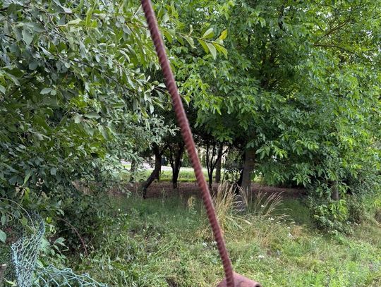 Makabryczny wypadek przy zbiorze wiśni. Kobieta spadła z drabiny na metalowy pręt