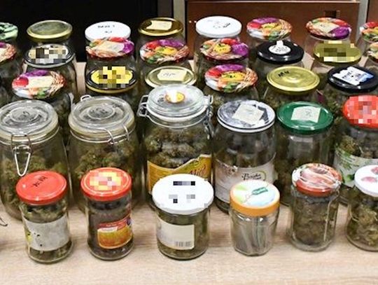 Marihuana, „grzybki” i profesjonalny sprzęt. Akcja policji zakończona aresztowaniem 36-latka