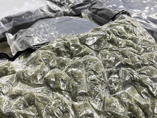 Marihuana warta ponad 4 miliony złotych w paczce z USA. Policjanci zatrzymali troje przemytników