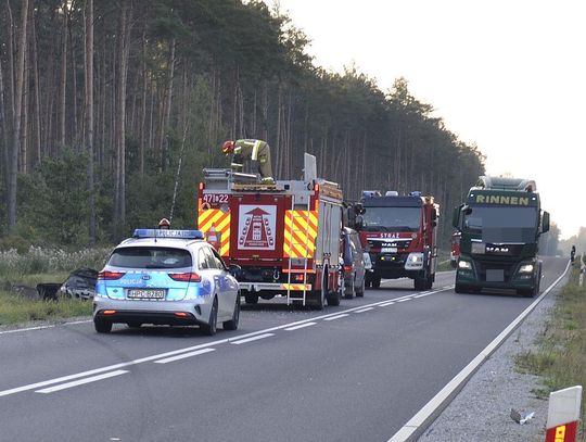 Mercedes potrącił łosia, wypadł z drogi i stanął w ogniu. Kierowcą uratował świadek wypadku