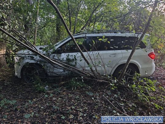 Mercedes wart 200 tysięcy porzucony w zaroślach. Złodziej nie poradził sobie z prowadzeniem