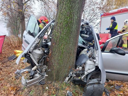 Mercedes zjechał z drogi i uderzył w drzewo. Nie żyje 44-letni kierowca