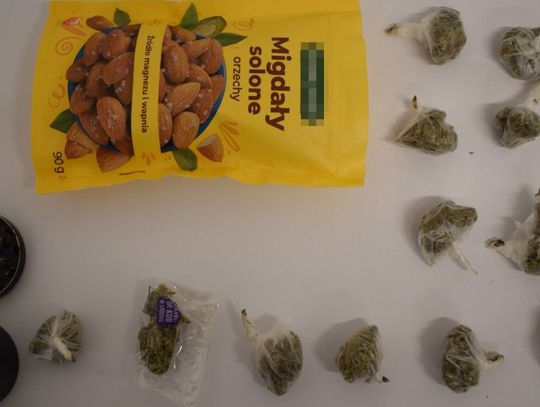 Miał w plecaku opakowanie po migdałach, a w nim ponad 60 porcji marihuany. 22-latek zatrzymany