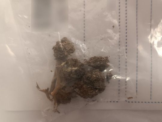 Miał zażyć leki, znaleźli narkotyki. 14-latek trafił do szpitala, będzie tłumaczyć się w sądzie Miał zażyć leki, znaleźli narkotyki. 14-latek trafił do szpitala, będzie tłumaczyć się w sądzie