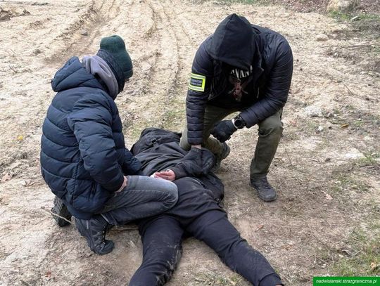 Mieli 50 kg narkotyków i nie zamierzali się poddać. Sceny jak z kina akcji podczas zatrzymania