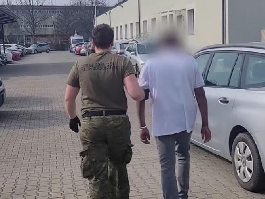 Mieli fałszywe prawa jazdy i pracowali jako kierowcy miejskich autobusów. Straż Graniczna zatrzymała obcokrajowców