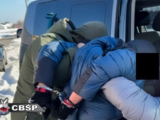 Milion złotych w wypożyczonej Dacii. Kurier wpadł podczas transportu 21 kg marihuany z Hiszpanii