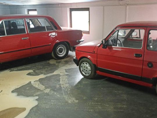 Milionowy przewał na skupie bydła. Policja zatrzymała oszustów, przejęte samochody, motocykle i gotówka