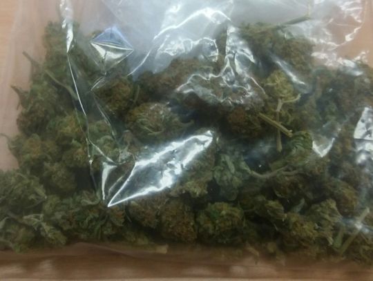 Młoda kobieta zatrzymana z narkotykami. Wpadł przez internetowy donos