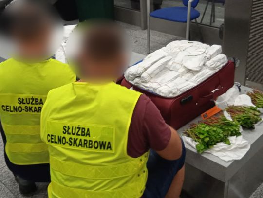 Młode Izraelki zatrzymane na lotnisku w Krakowie. Miały w bagażu sto kilogramów narkotyków