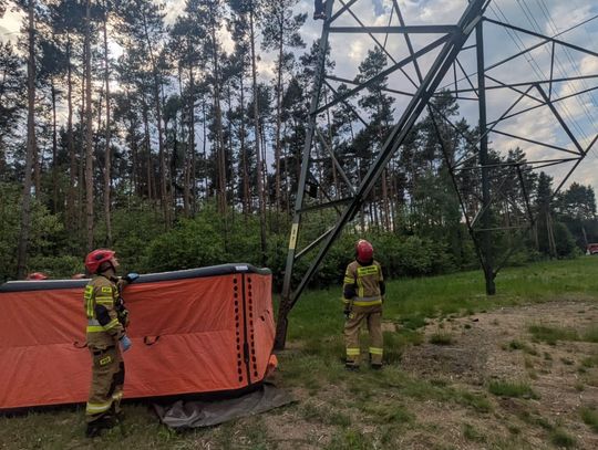 Młody mężczyzna wszedł na słup wysokiego napięcia. Po negocjacjach udało się go sprowadzić na ziemię Młody mężczyzna wszedł na słup wysokiego napięcia. Po negocjacjach udało się go sprowadzić na ziemię