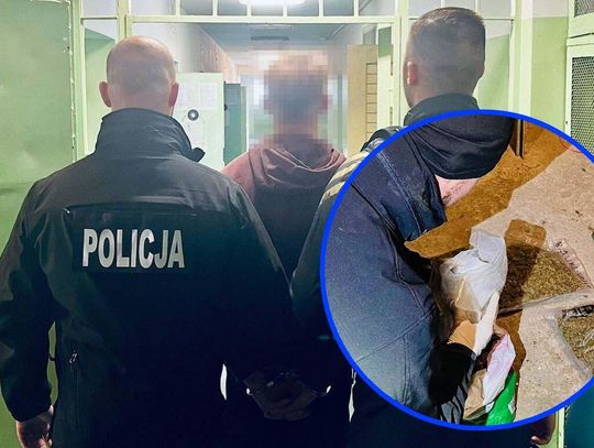 Młodzi dilerzy stracili prawie 3 kilo towaru i trafili do aresztu. 18- i 19-latek mogą spędzić długie lata za kratami