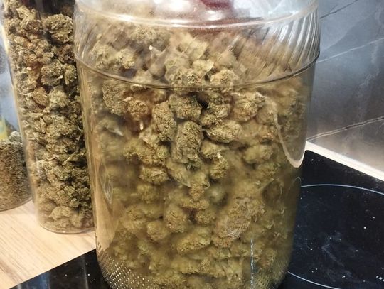 Młodzi współlokatorzy zatrzymani z blisko kilogramem marihuany. Grozi im do 10 lat więzienia